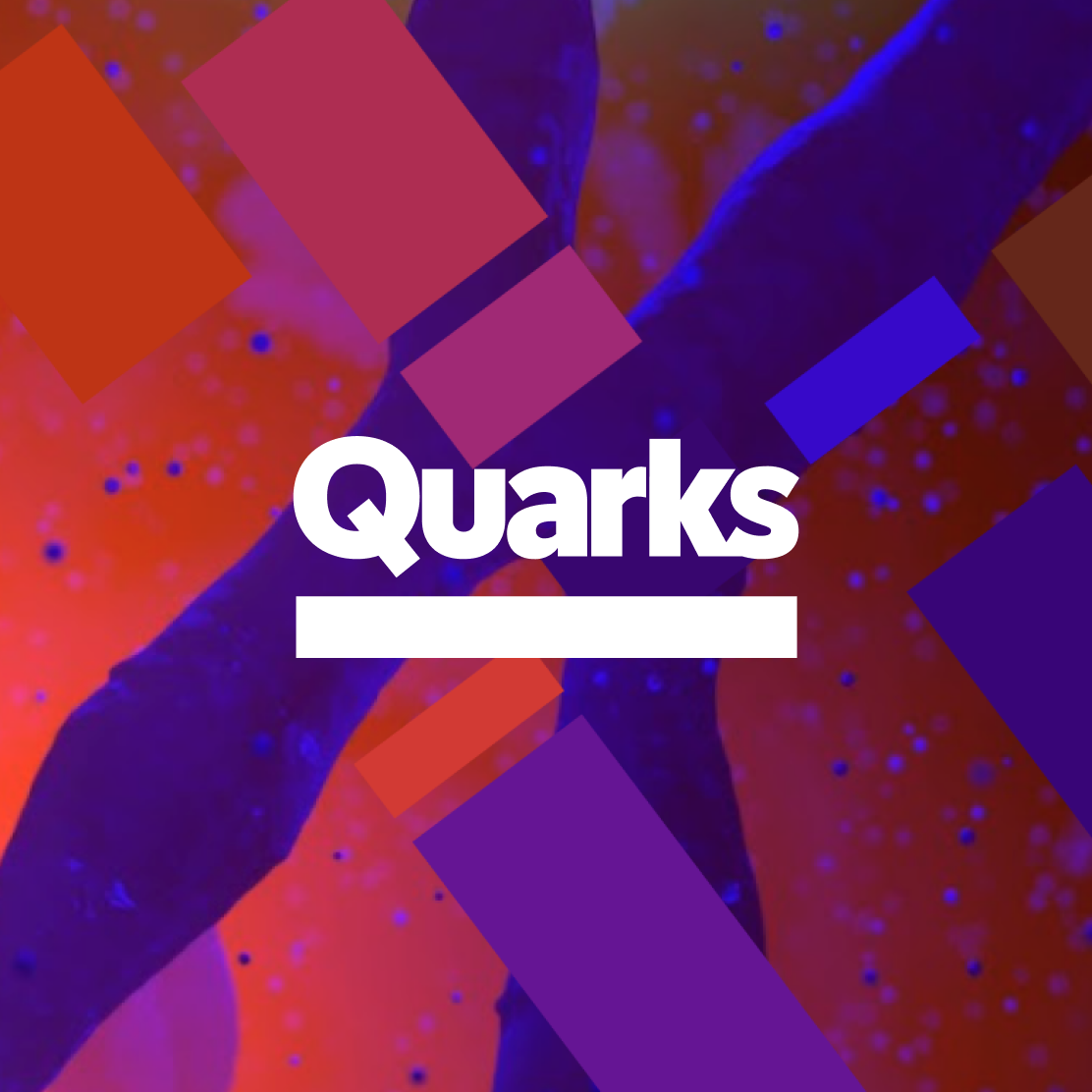 Quarks TV